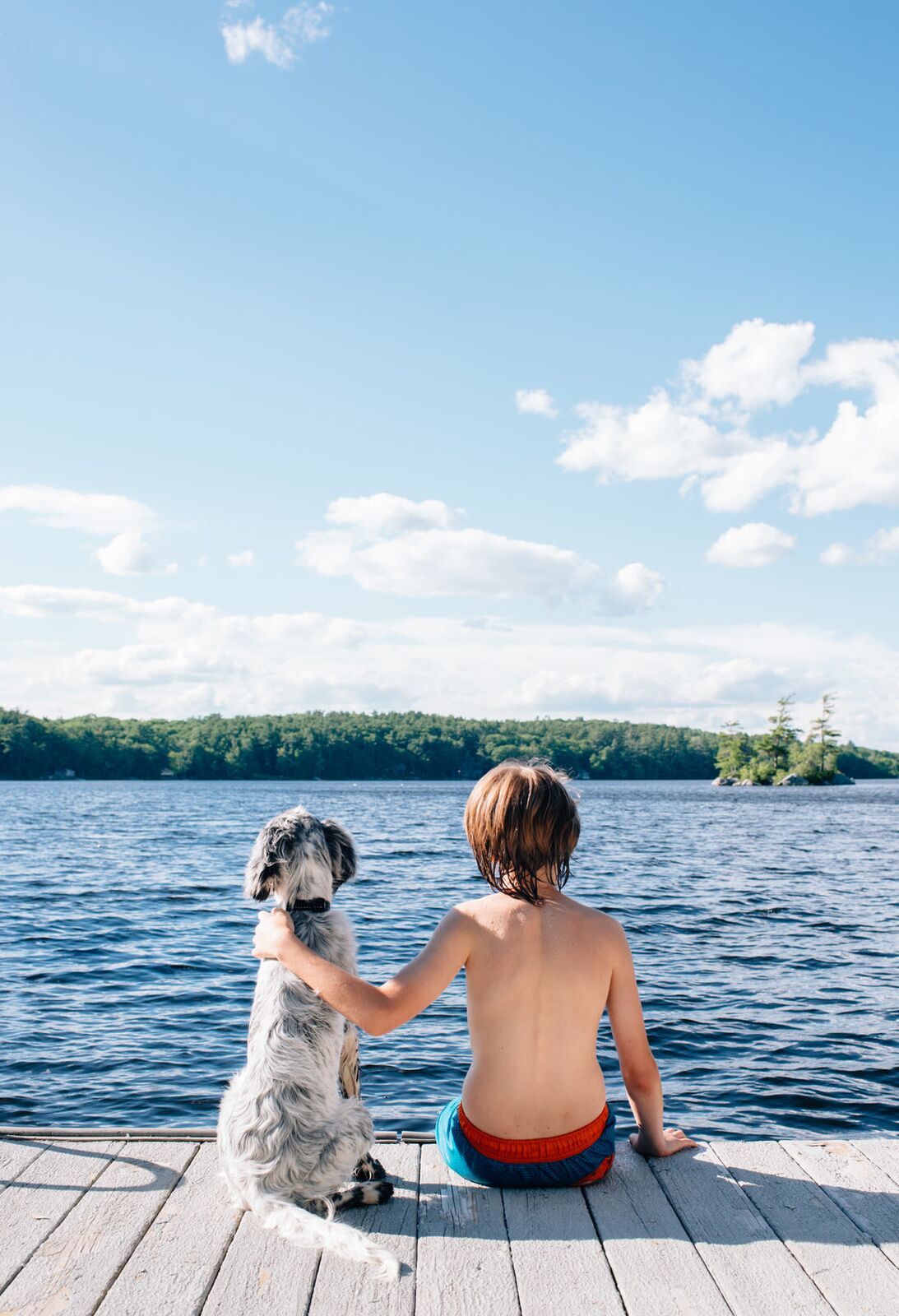 A child and dog on a lake dock