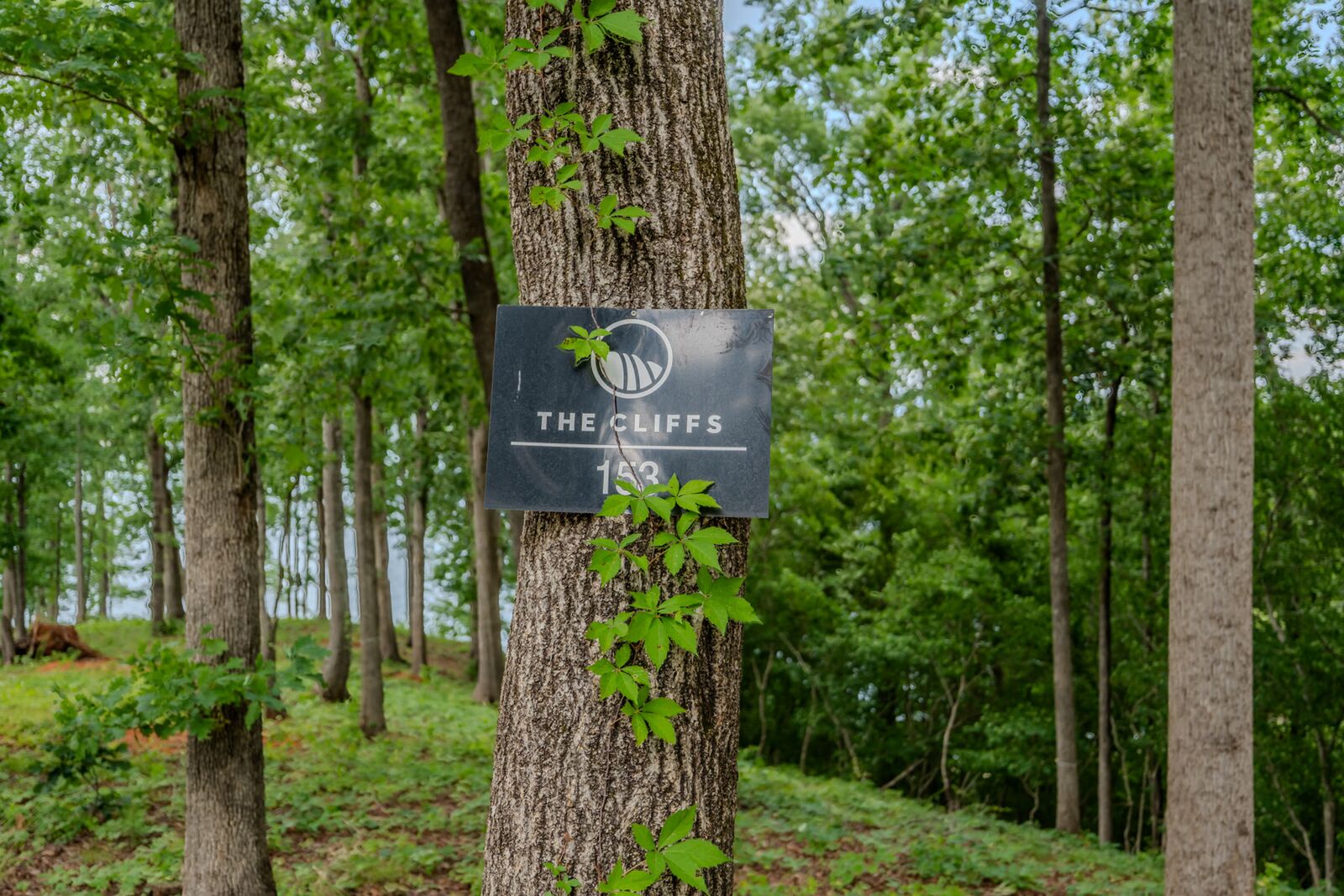 The Cliffs marker