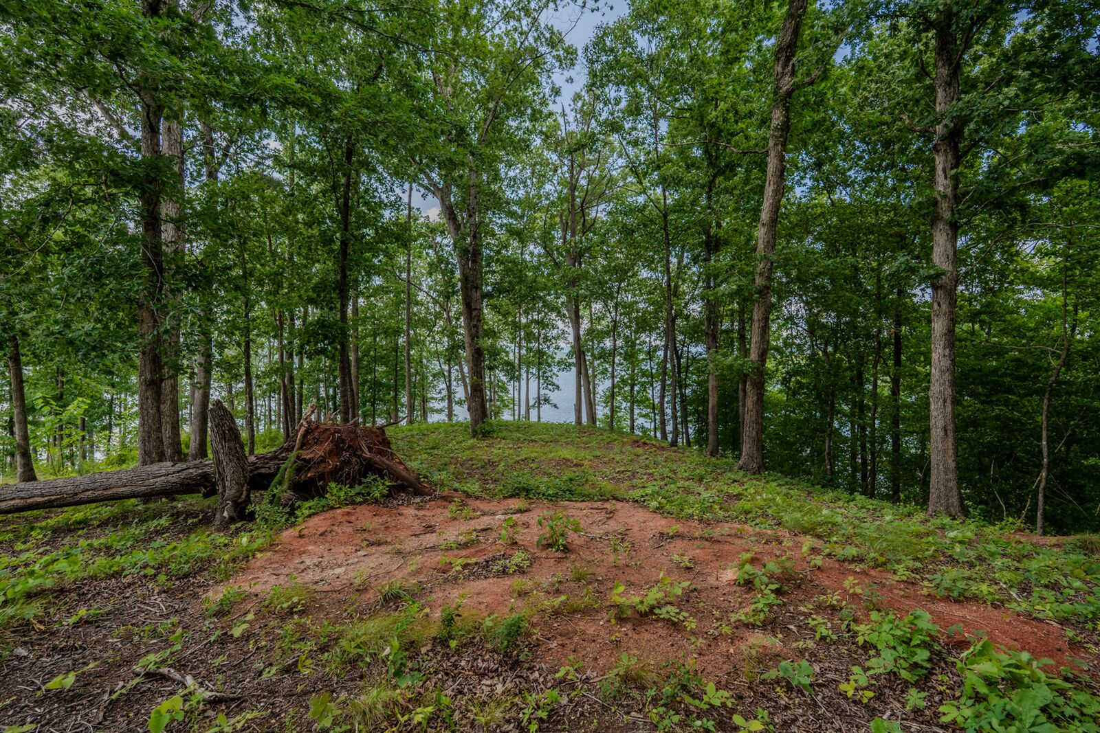 On the homesite