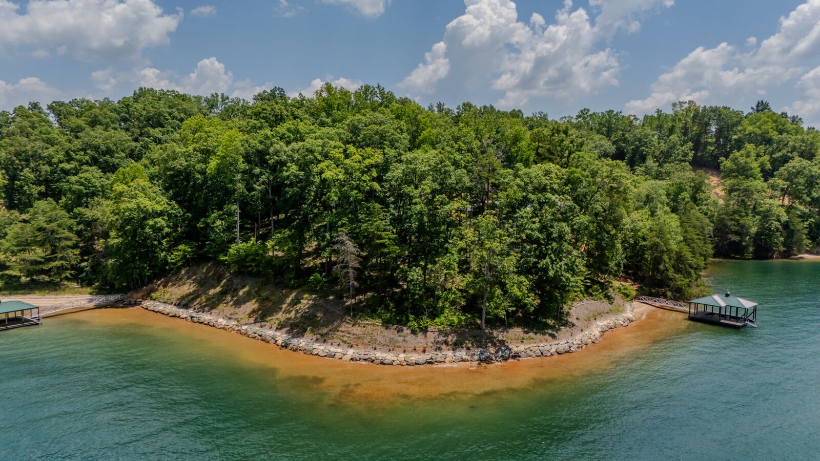 Shoreline and hardwoods